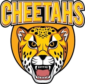 Cheetahs Logo PNG Vector