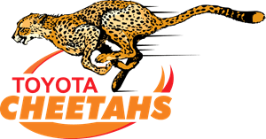 Cheetahs Rugby Logo Vector