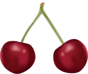 Cherry Mesh Logo Vector