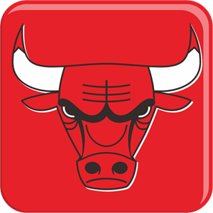 chicago bulls Logo Vector