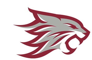Chico State Wildcats Logo PNG Vector