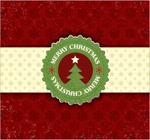 christmas snowflake Logo PNG Vector