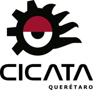 Cicata Logo PNG Vector