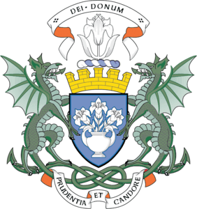 City of Dundee Scotland Logo PNG Vector