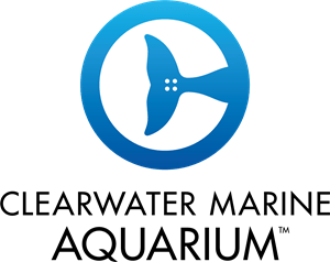 Clearwater Marine Aquarium Logo PNG Vector