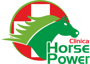 Clínica Horse Power Logo PNG Vector