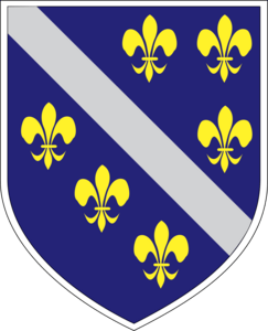 Coat of arms of Bosnia and Herzegovina Logo PNG Vector