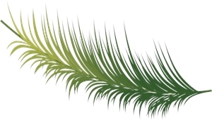 Coconout Leaf Logo PNG Vector