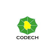 Codech Logo Vector