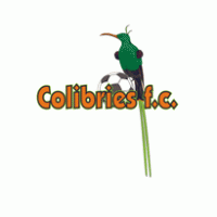 colibries Logo PNG Vector