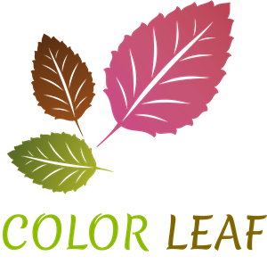 Colorful Leaf Logo PNG Vector