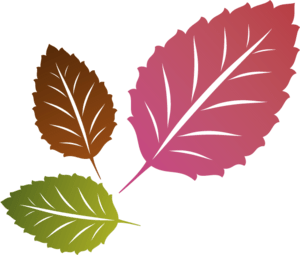 Colour Leafs Logo PNG Vector
