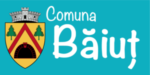 Comuna Baiut Logo PNG Vector