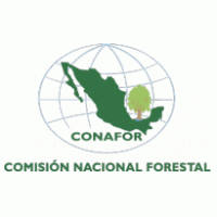 Conafor Logo PNG Vector