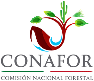 CONAFOR Logo PNG Vector