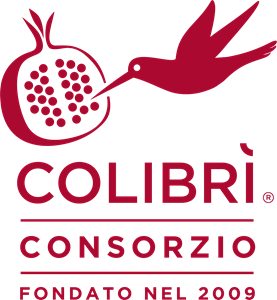 Consorzio Colibrì Logo Vector