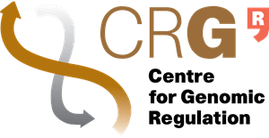CRG Logo PNG Vector