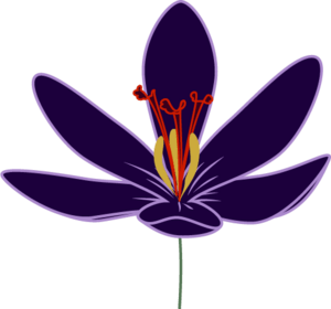 Crocus Blossom Logo PNG Vector