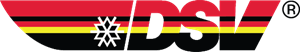 DSV Deutscher Skiverband Logo PNG Vector