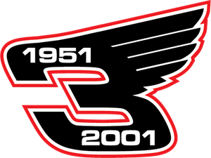 Dale Earnhardt Wings Logo Vector