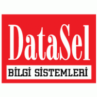 DataSel Bilgi Sistemleri Logo PNG Vector
