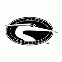 Delmarva Shorebirds Logo PNG Vector
