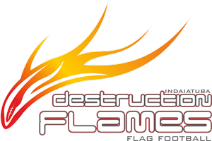Destruction Flames Logo Vector
