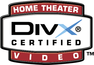 DivXNetworks Logo PNG Vector