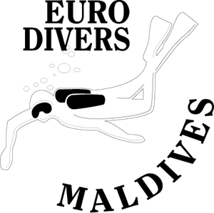 Diving Logo Vector