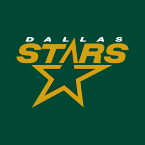 Dallas Stars 1994-2013 Logo PNG Vector