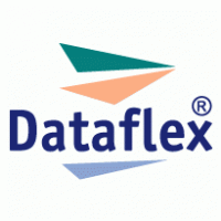 Dataflex Logo PNG Vector