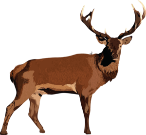 Wild Deer Logo - Free Transparent PNG Clipart Images Download