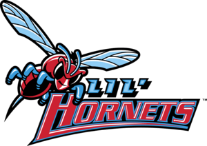 Delaware State Hornets Logo PNG Vector