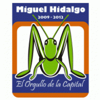 delegacion miguel hidalgo Logo PNG Vector