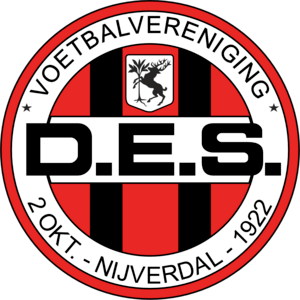 DES Nijverdal Logo PNG Vector