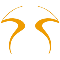DESIGN Logo PNG Vector