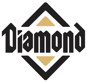 Diamond Logo Vector