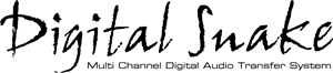 Digital Snake Logo Vector