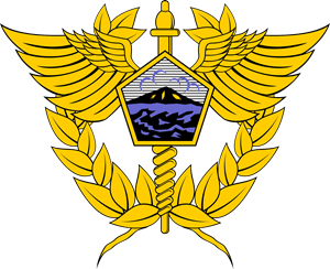 Direktorat Jenderal Bea dan Cukai Logo PNG Vector