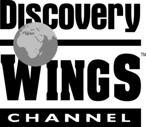 Discovery Wings Logo PNG Vector