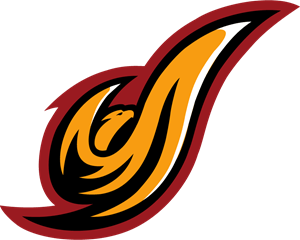 District of Columbia Firebirds Logo Vector