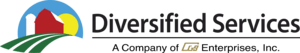 Diversified Services Logo PNG Vector