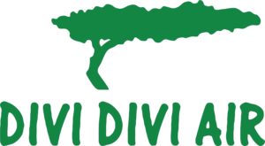DiviDivi air Logo PNG Vector