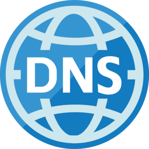 DNS Logo PNG Vector