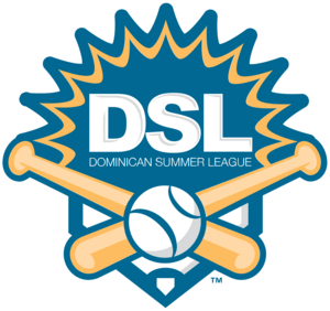 Dominican Summer League Logo PNG Vector