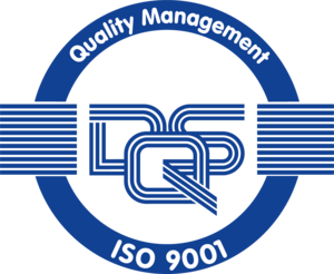 DQS ISO 9001 Logo PNG Vector