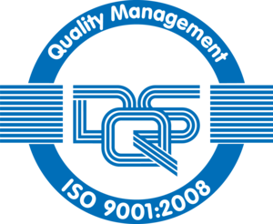 DQS Quality Management Logo PNG Vector