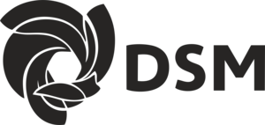 DSM Logo PNG Vector
