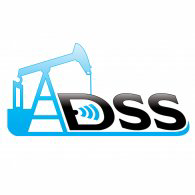 DSS Logo PNG Vector