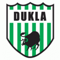 Dukla Bysina Logo PNG Vector
